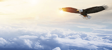 首页- J9集团国际站官网入口