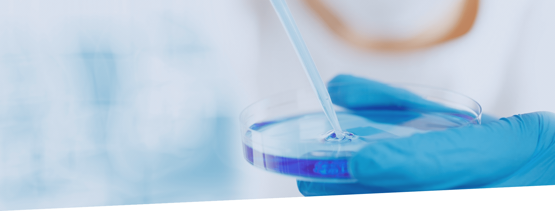 首页- J9集团国际站官网入口