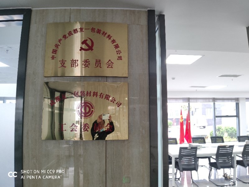 热烈祝贺J9集团集团成都分公司党支部在2020年3月11日授牌成立，支部书记曹云(行政部经理)